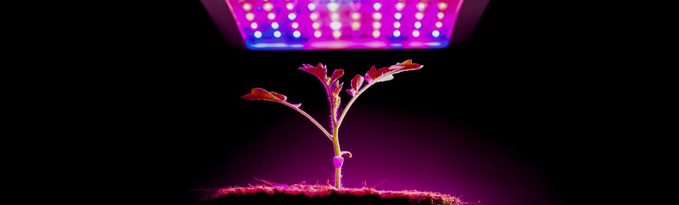 Науката зад LED терапията